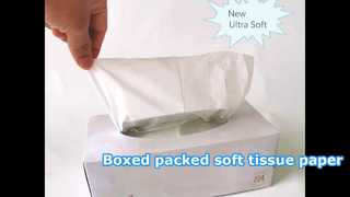 3 Ply 13GSM Facial Tissue Virgin Wood Pulp Box Tissue for Sensitive Skin